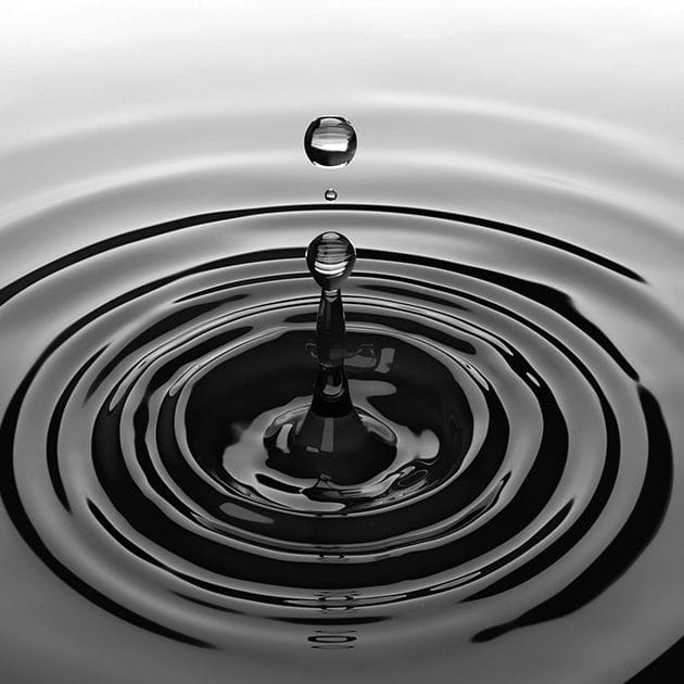 eau eau